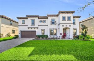 1534 JUNIPER HAMMOCK