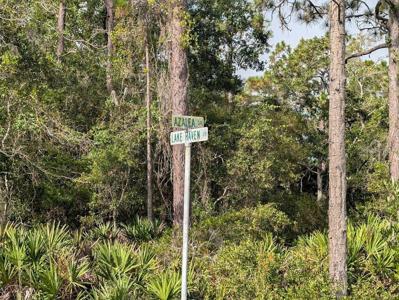 523 AZALEA DRIVE