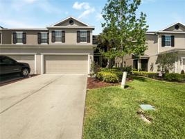 1476 GROUNDSEL