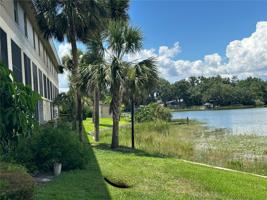 410 ORLANDO
