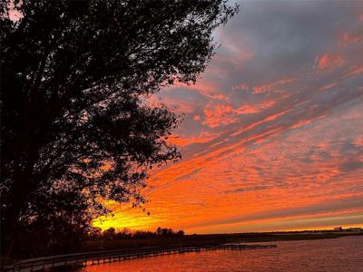 1501 SUNSET POINTE PLACE