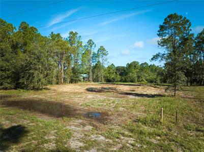 1116 POINCIANA