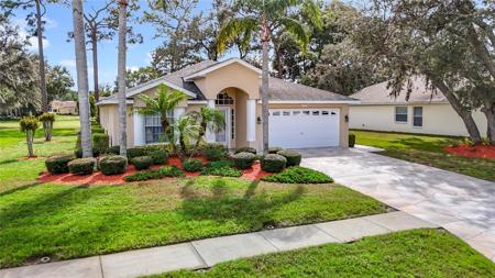 13510 KNOTTY LANE