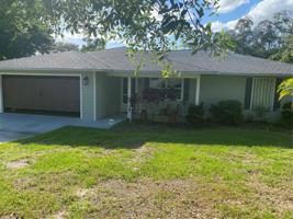 155 PINE