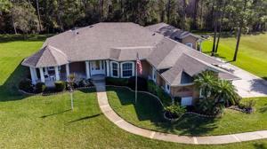 12177 GRAY BIRCH