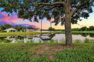 12418 WHITE BLUFF