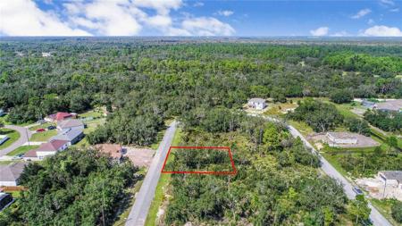 1343 HOMOSASSA DRIVE