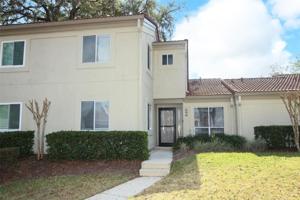 256 SABAL PALM