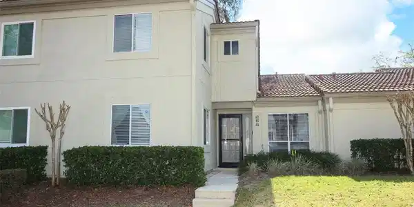 256 SABAL PALM
