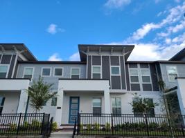 6114 BIMINI TWIST