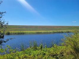 5646 US HIGHWAY 441 SE