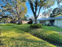 23850 FOREST VIEW