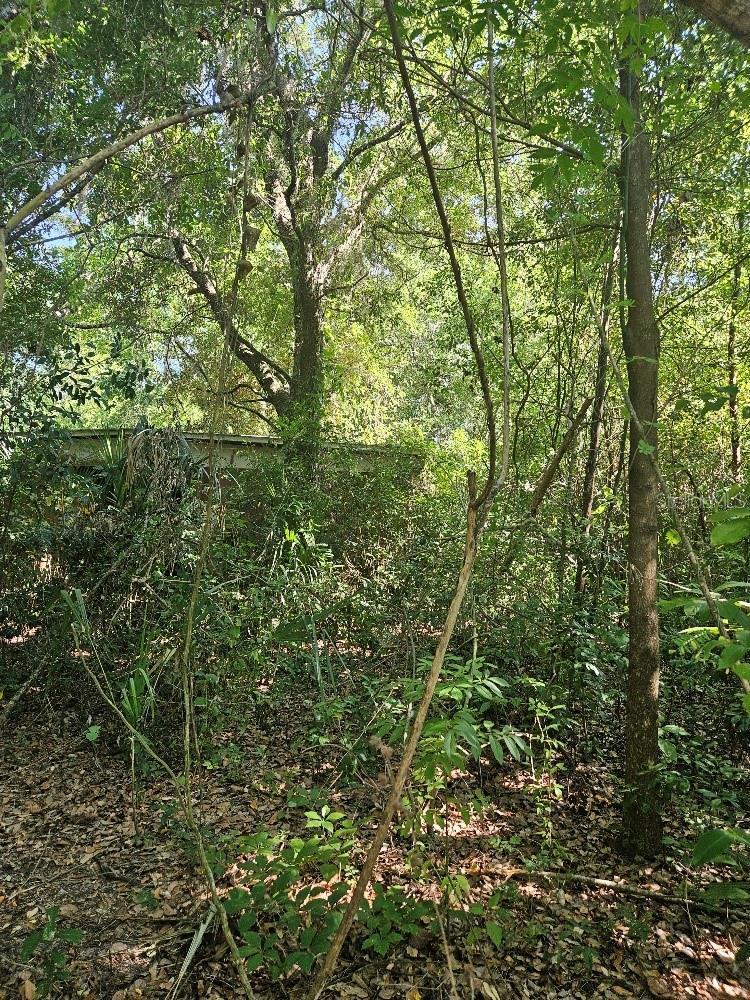 Image 4 Image 4