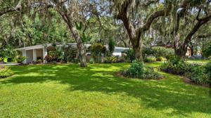 104 CAMELLIA