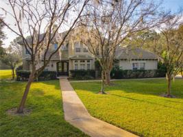 10430 BIRCH TREE