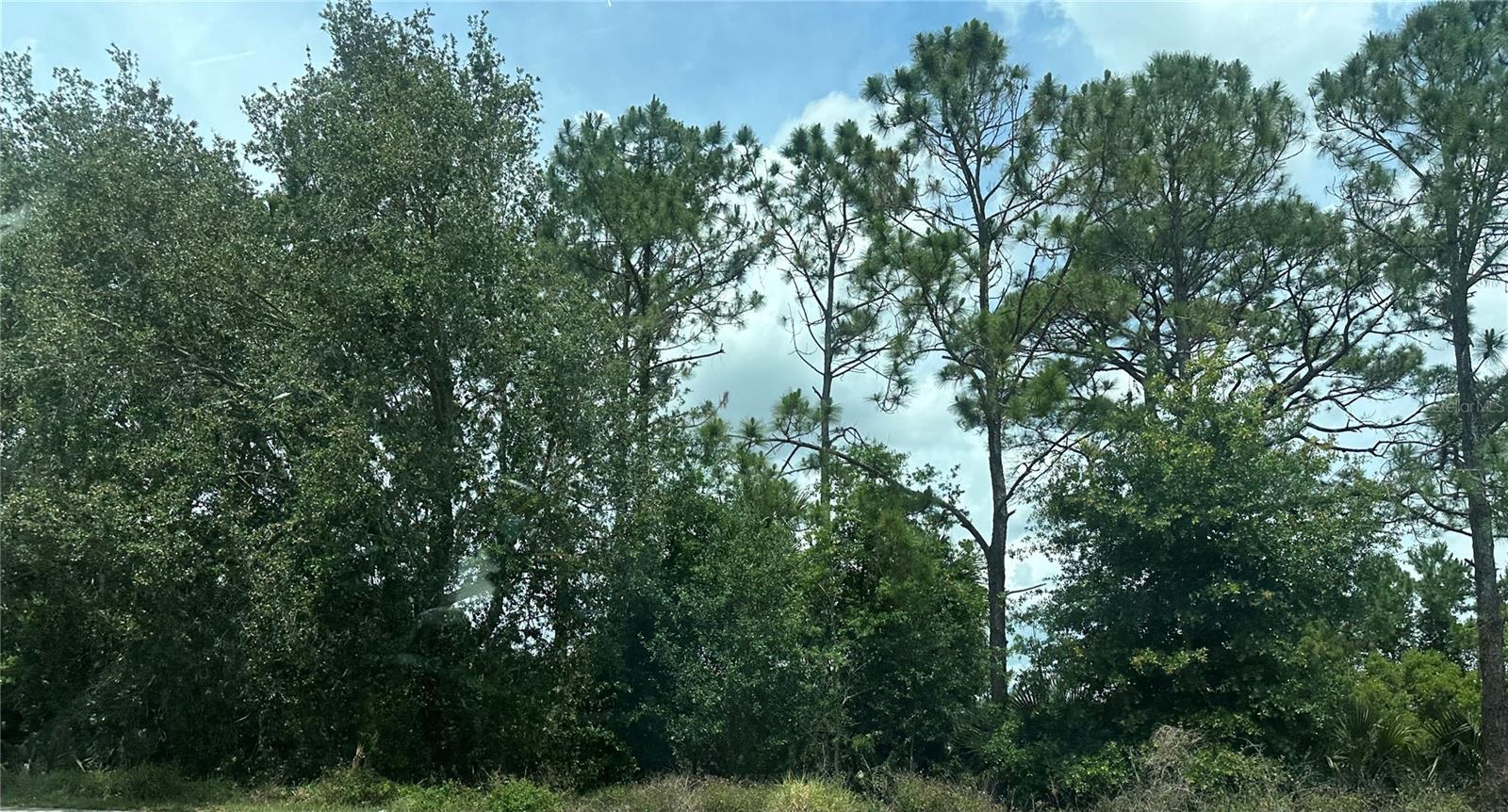 Image 1 Image 1