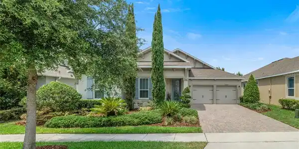 14609 BLACK QUILL