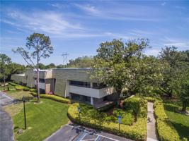 36750 US HIGHWAY 19 N