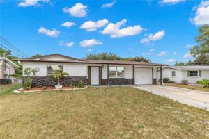 12904 SPRING