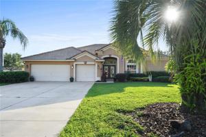 11208 LEDGEMENT