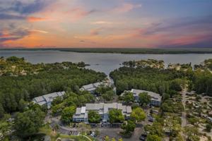 2599 DOLLY BAY