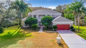 6484 SUGAR TREE