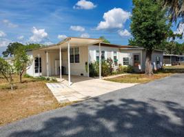 311 MAGNOLIA