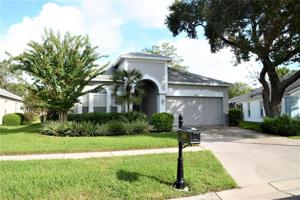 3709 RAIN TREE