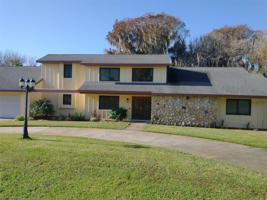 30329 REDTREE