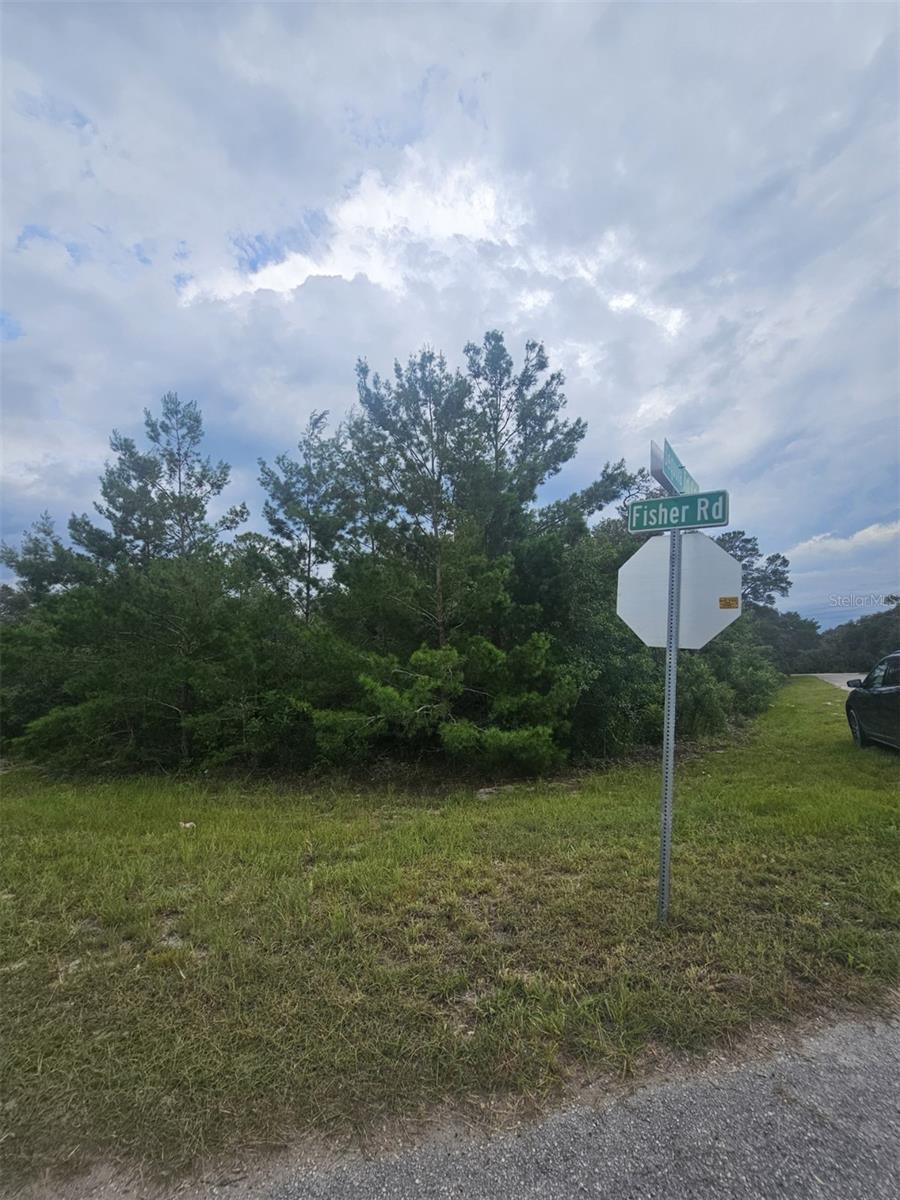 Image 1 Image 1