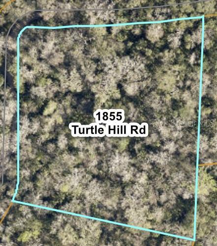 Image 1 Image 1