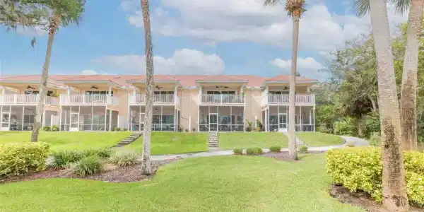 50 PALM HARBOR