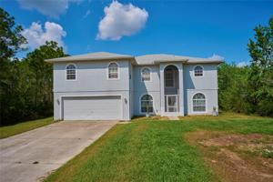 3810 HIBISCUS