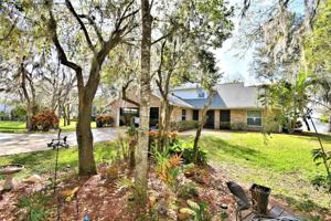 1959 LAKE REEDY