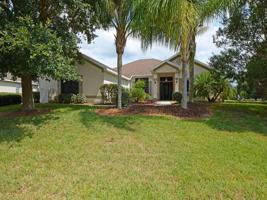 24421 CALUSA