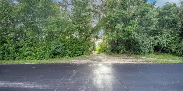 Image 3 Image 3