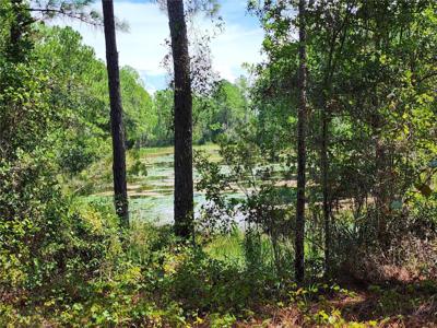 34210 BERRYHILL DRIVE