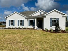 17649 LIVE OAK