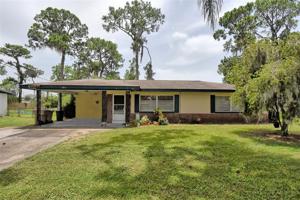 14328 LAKE JUNIETTA DRIVE