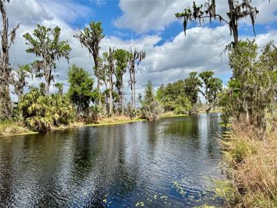 216 LITTLE ORANGE LAKE DRIVE