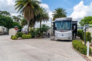 2503 LEMONWOOD
