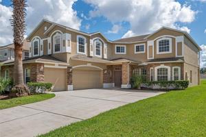 13520 FOX GLOVE