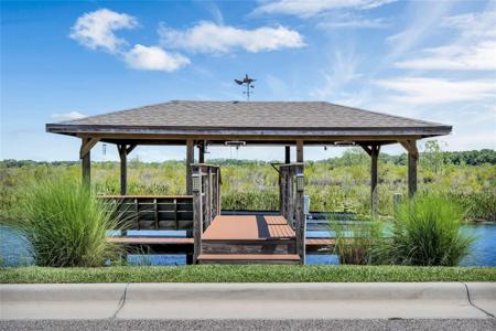 445 BLUE CYPRESS
