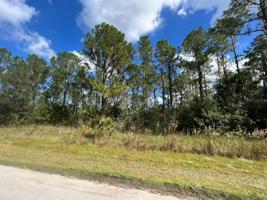 8 PALMETTO S