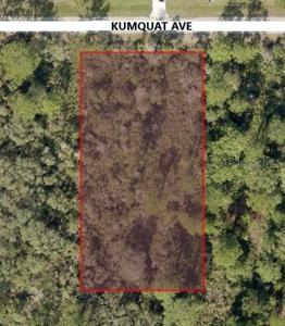30610 KUMQUAT AVENUE