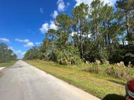 10 PALMETTO S