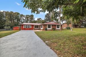 3818 PALM