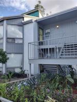 2534 LEMON TREE