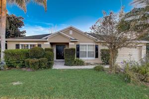 1147 JUNIPER HAMMOCK