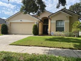 6704 WINDER LYNNE